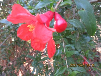 IMG_8177.JPG