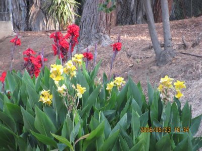 IMG_8182.JPG IMG_8182.JPG