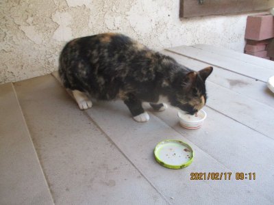 IMG_6779.JPG IMG_6779.JPG