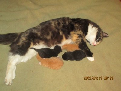 IMG_7887.JPG IMG_7887.JPG