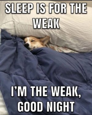 gn.jpg