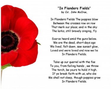 flanders-field.jpg