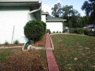 pet walkway.JPG