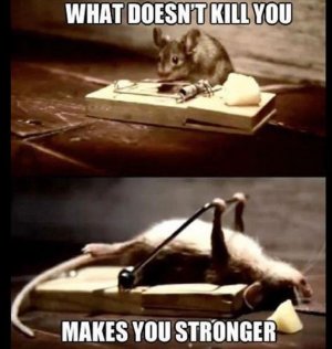 kill-strong.JPG