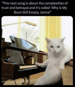 animal2.jpg