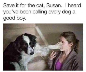 1000018360.jpg