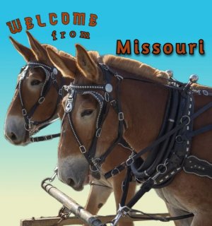 2-Mo-welcome.jpg