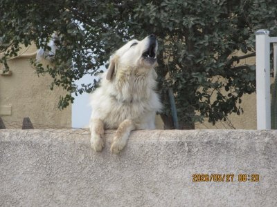 IMG_8234.JPG