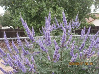 IMG_8253.JPG
