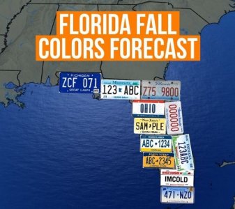 Florida in fall.jpeg
