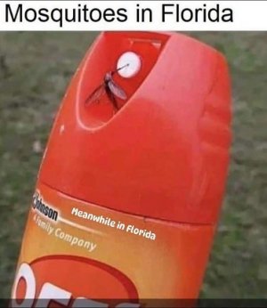 mosquitoes.jpg