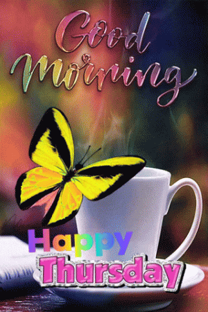 IMG_4046.gif