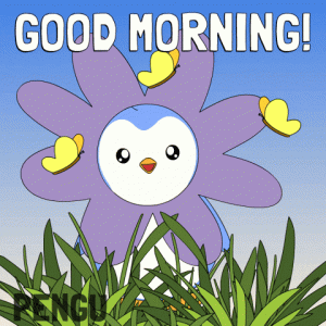 IMG_5274.gif