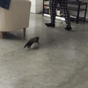 1779970140778.gif