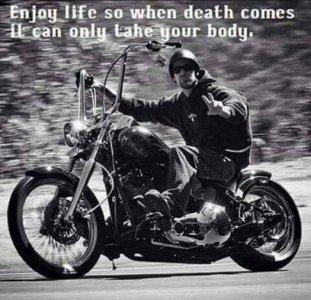 enjoy life.jpg
