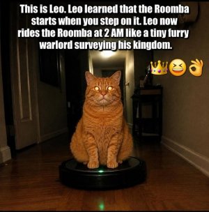 Leo.jpg