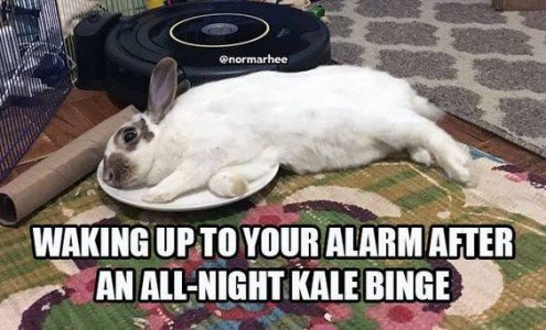 binge.jpg