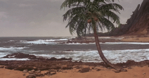 sept 23.gif