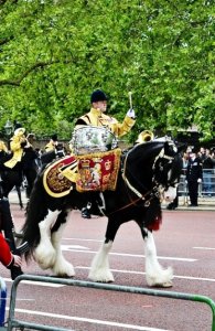Queens Drum Horse.jpg
