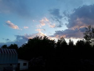 IMG_20190627_204203.jpg