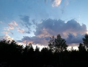 IMG_20190627_204213.jpg
