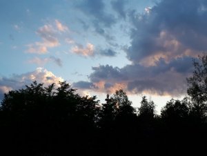 IMG_20190627_204238.jpg