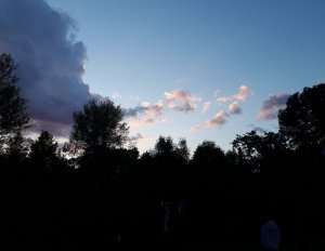 IMG_20190627_204455.jpg