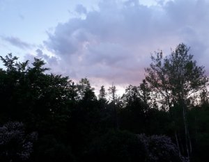 IMG_20190627_204505.jpg