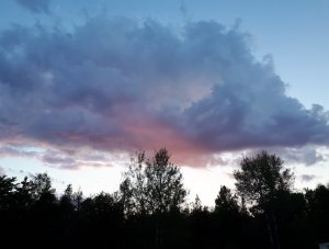 IMG_20190627_204626.jpg