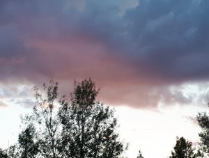 IMG_20190627_204637.jpg