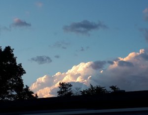 IMG_20190627_204740.jpg