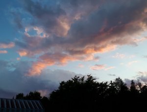 IMG_20190627_204954.jpg