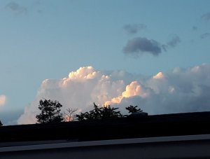 IMG_20190627_205031.jpg