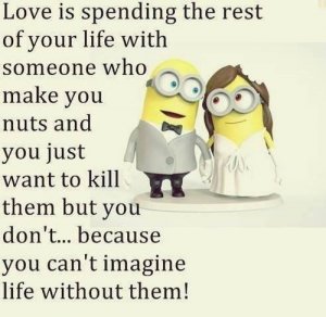 30-Minions-Love-Quotes-16-Minions-Minions-memes-500x486.jpg