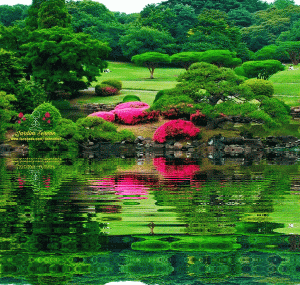 New reflection on water 2019.gif