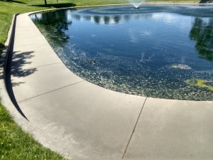 IMG_20190630_113904131_HDR.jpg