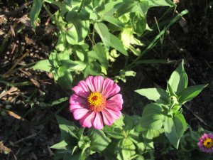 IMG_1413.JPG