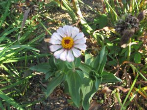 IMG_1405.JPG