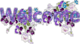 46042_1293371805.gif