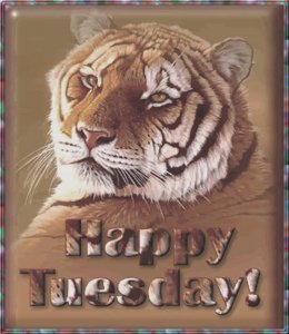 HappyTuesday.002.jpg