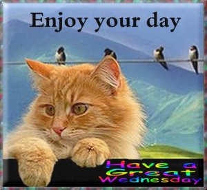 happy wednesday.000.jpg