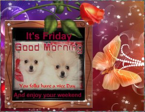 Happy Friday 001.jpg