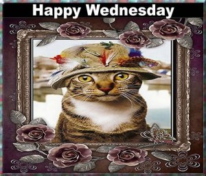 happy wednesday 001.jpg