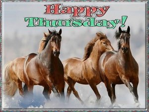 happy Thursday.002.jpg