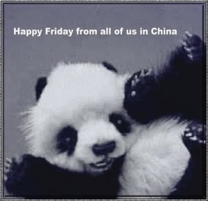 happy friday panda.jpg