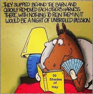 50shadesofhay.jpg
