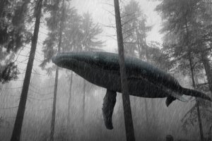 whale-in-the-forest.jpg