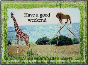 enjoy your weekend.1.jpg