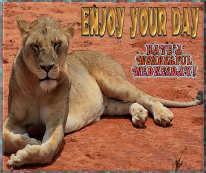 happy wednesday002a.jpg