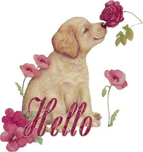 hello.jpg